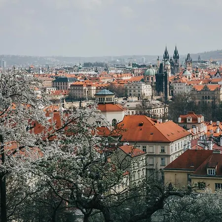 Safestay Charles Bridge Albergue Praga