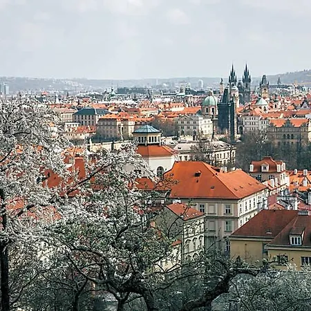 Safestay Charles Bridge Vandrarhem *